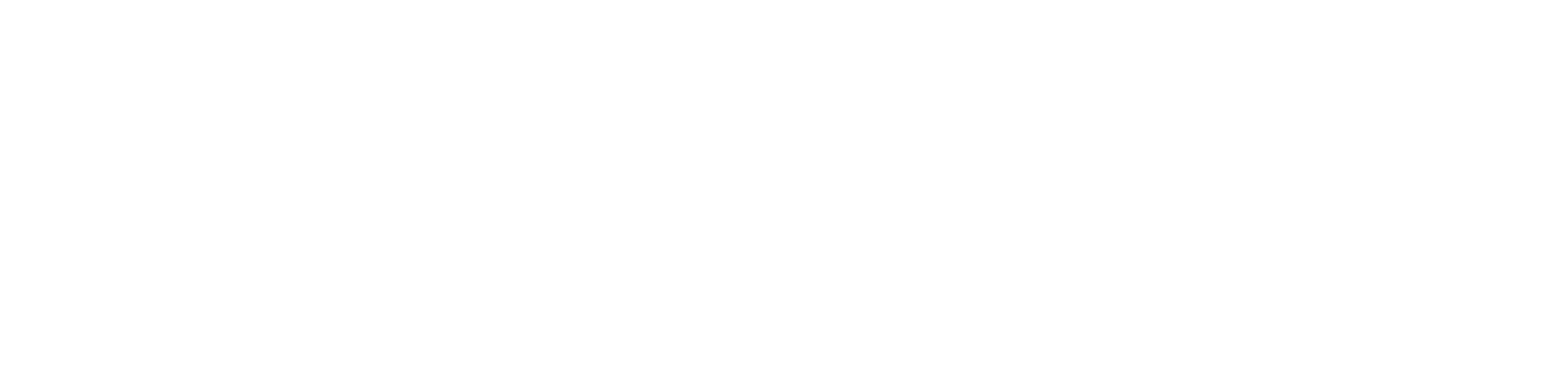 Synvoice Logo